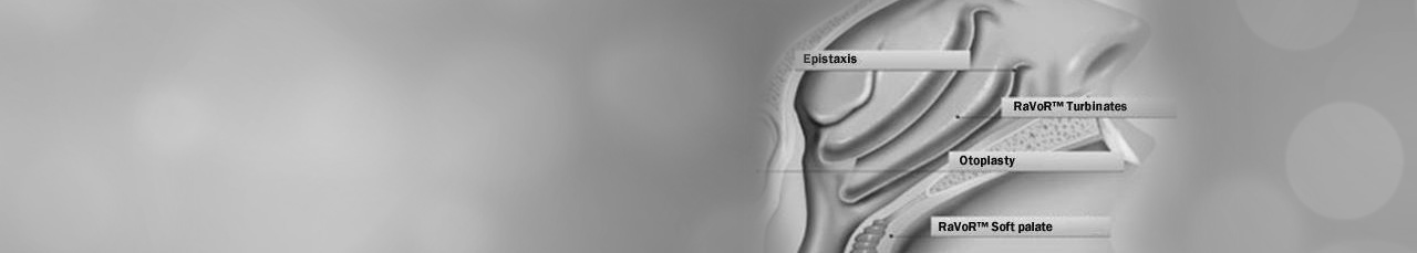 Rhinology / Nose and Sinus